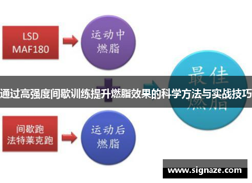 通过高强度间歇训练提升燃脂效果的科学方法与实战技巧