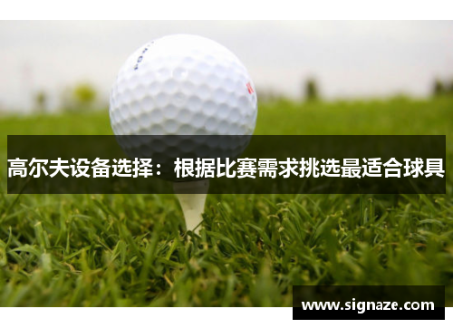 高尔夫设备选择：根据比赛需求挑选最适合球具