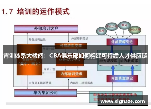 青训体系大检阅：CBA俱乐部如何构建可持续人才供应链