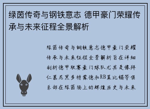 绿茵传奇与钢铁意志 德甲豪门荣耀传承与未来征程全景解析