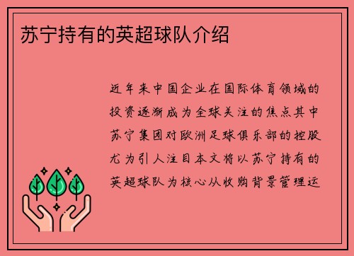 苏宁持有的英超球队介绍