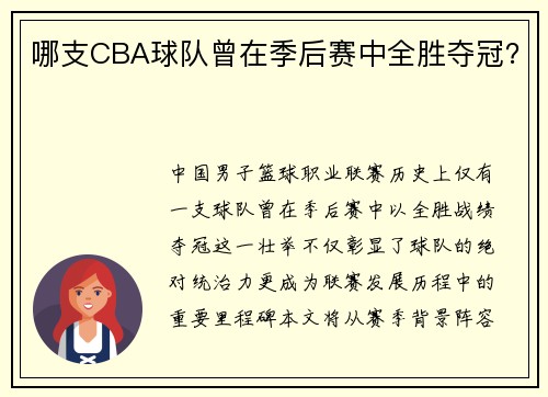 哪支CBA球队曾在季后赛中全胜夺冠？
