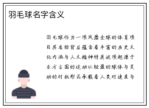 羽毛球名字含义